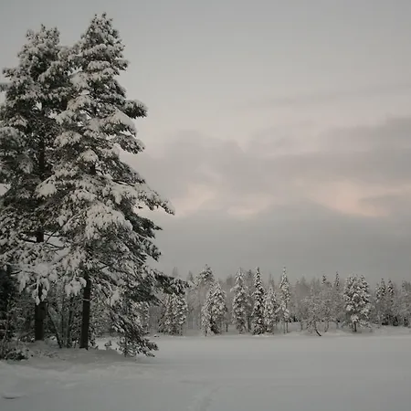 Wilderness Kuusamo Chalet *